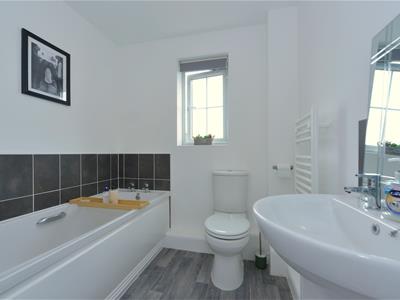 Picture 13